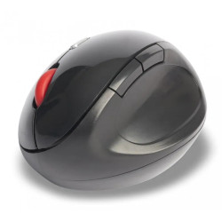 Rato sem Fio Wireless Ergonômico