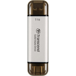 Disco Externo 1TB ESD310S Prata Usb-C/A